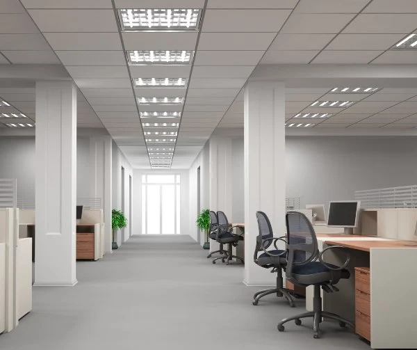 Professional Organizer in Hillsboro